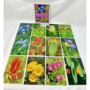 Rocky Mountain Wildflowers‎ Unused Postcards Post Cards Lot  12 Junk Journal 90s